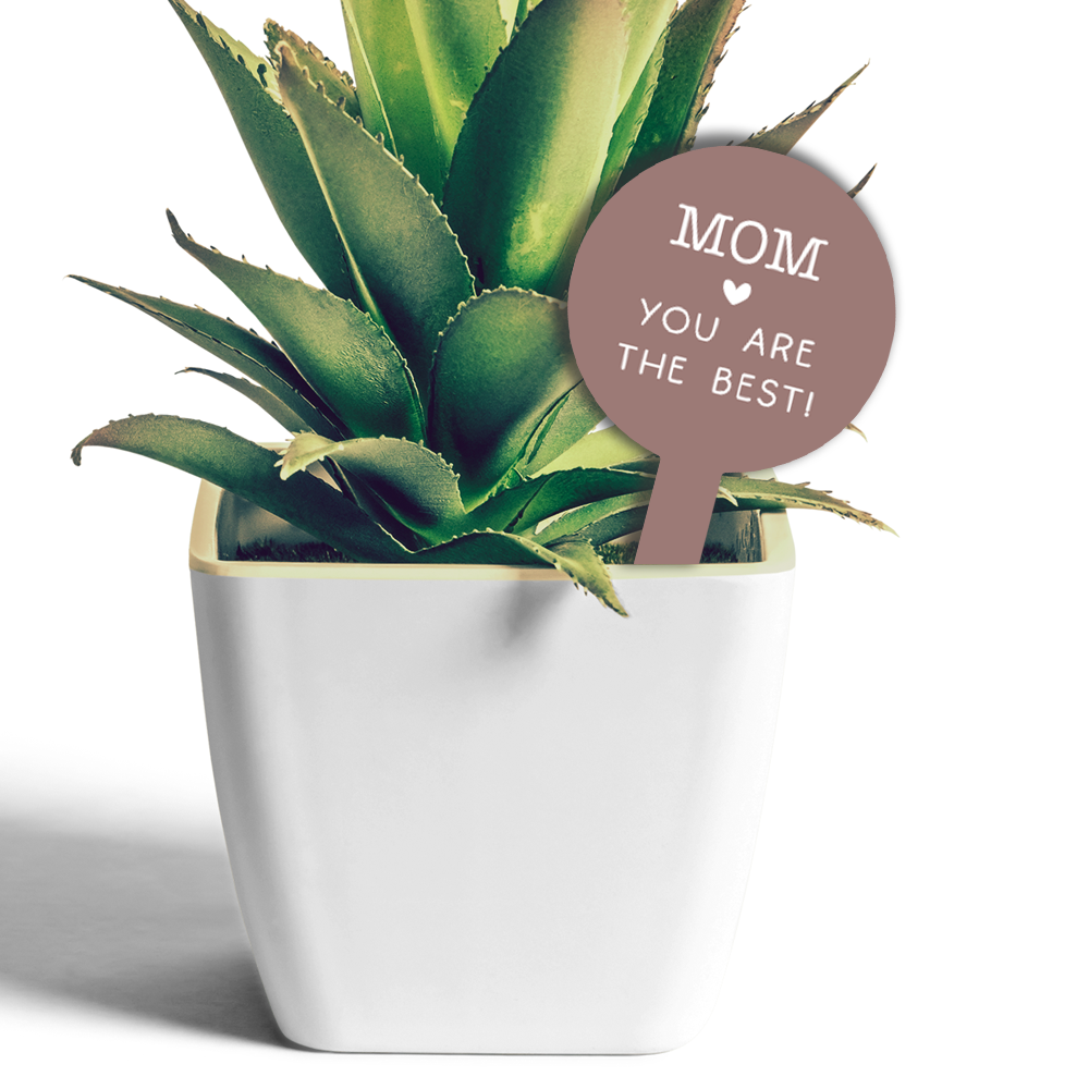 Plantenprikkertje Mom You Are The Best